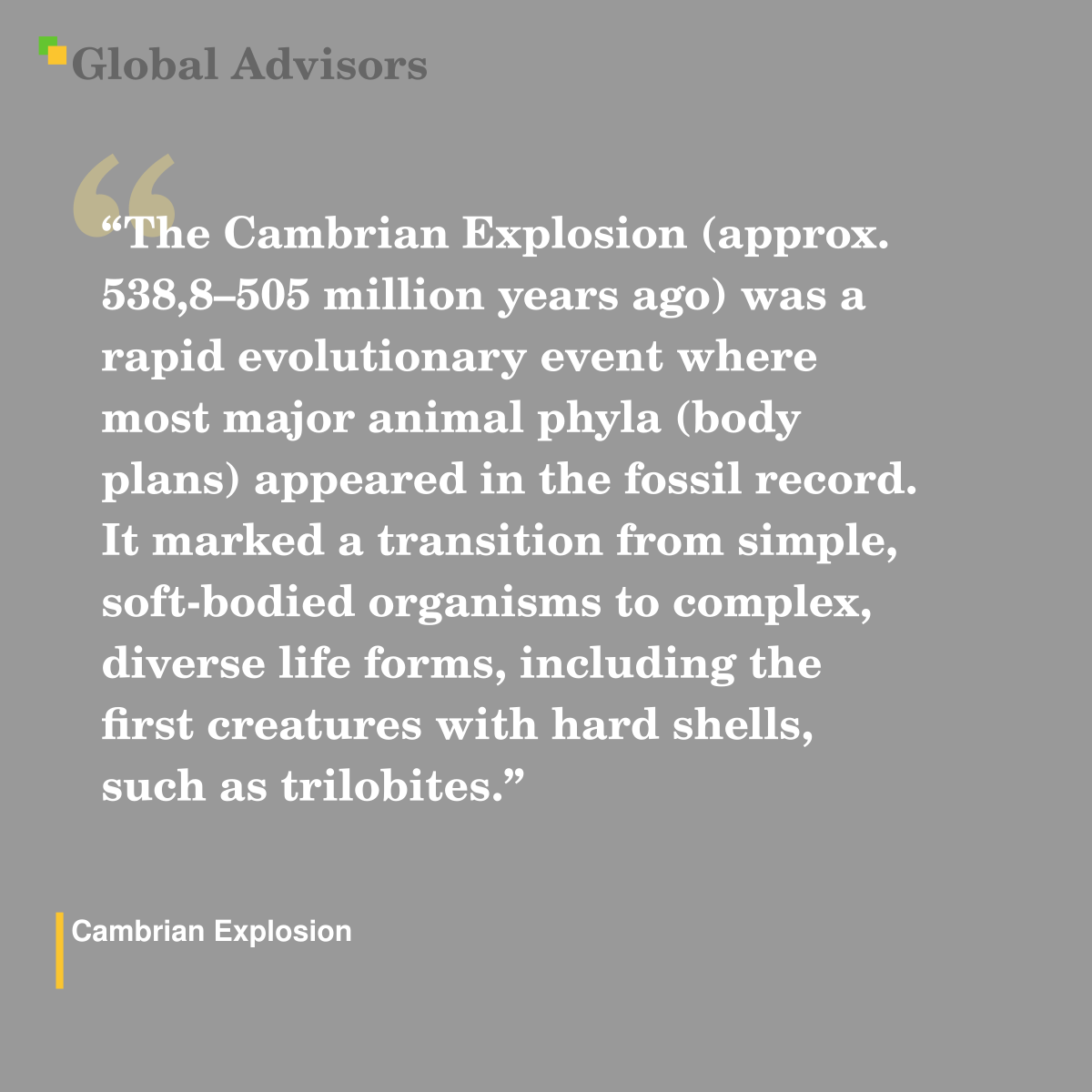 "The Cambrian Explosion (approx. 538,8–505 million years ago) was a rapid evolutionary event where most major animal phyla (body plans) appeared in the fossil record. It marked a transition from simple, soft-bodied organisms to complex, diverse life forms, including the first creatures with hard shells, such as trilobites." - Term: Cambrian Explosion