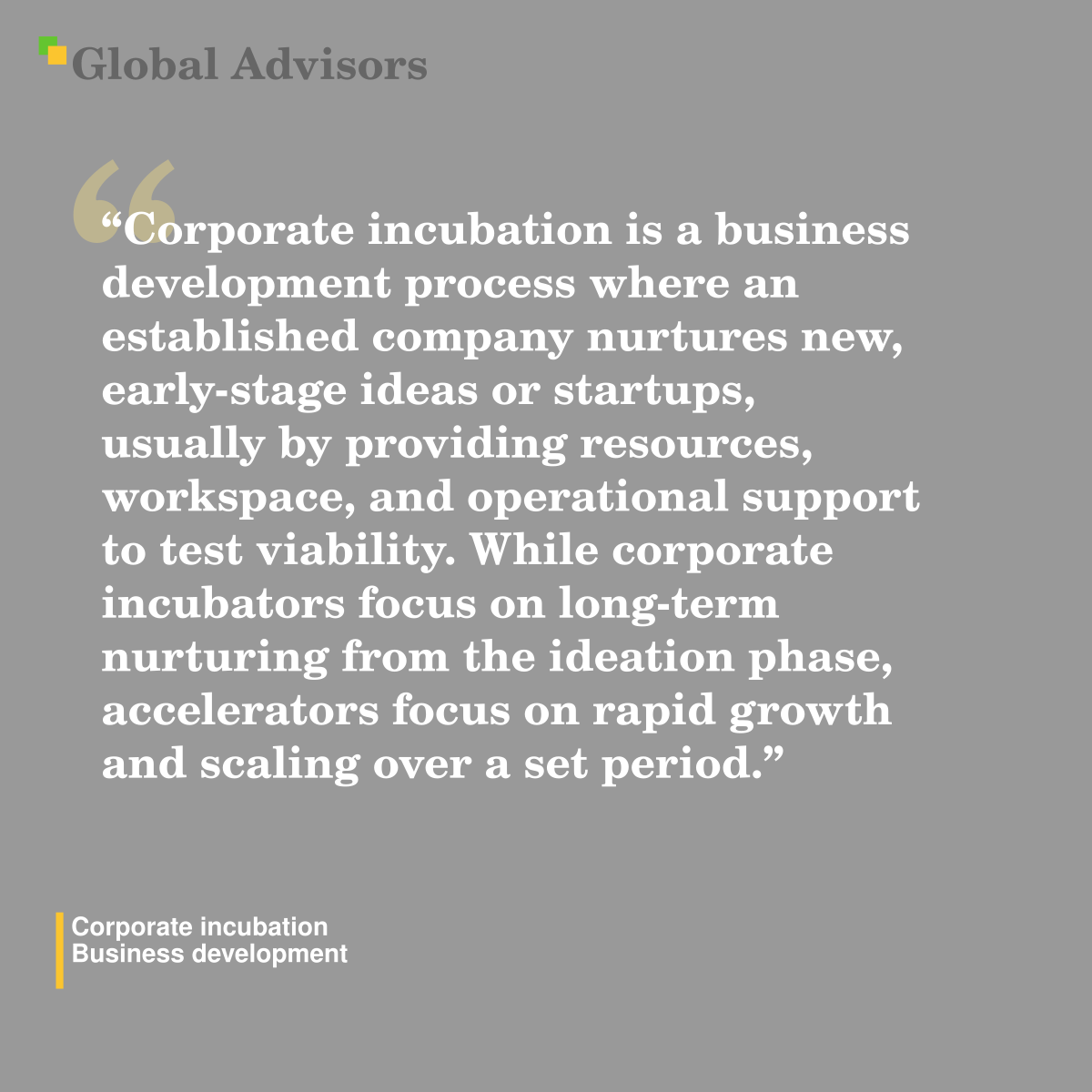"Corporate incubation is a business development process where an established company nurtures new, early-stage ideas or startups, usually by providing resources, workspace, and operational support to test viability. While corporate incubators focus on long-term nurturing from the ideation phase, accelerators focus on rapid growth and scaling over a set period." - Term: Corporate incubation - Business development